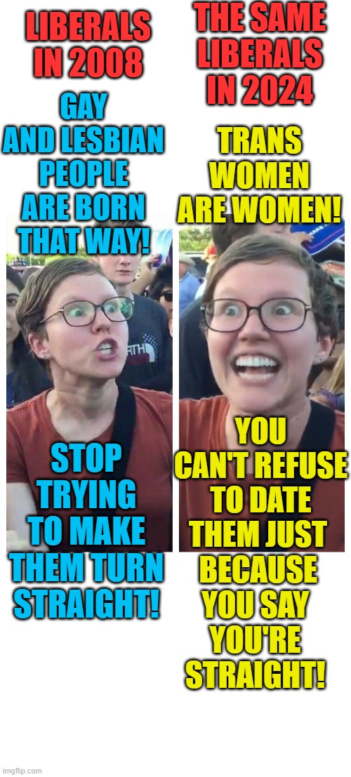 Date me you bigots! | LIBERALS IN 2008; THE SAME LIBERALS IN 2024; GAY AND LESBIAN PEOPLE ARE BORN THAT WAY! TRANS WOMEN ARE WOMEN! BECAUSE YOU SAY YOU'RE STRAIGHT! STOP TRYING TO MAKE THEM TURN STRAIGHT! YOU CAN'T REFUSE TO DATE THEM JUST | image tagged in social justice warrior hypocrisy,liberal logic,transgender,lgbtq | made w/ Imgflip meme maker