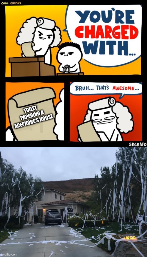 Toilet papering an acephobe’s house | TOILET PAPERING A ACEPHOBE’S HOUSE | image tagged in cool crimes,tped house,toilet paper,toilet papering,lgbtq,be gay do crimes | made w/ Imgflip meme maker