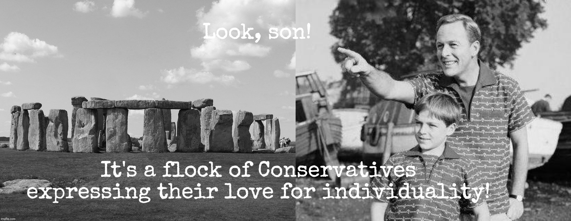 image tagged in stonehenge,looks son,conservative,monolithic,conformity,blind allegiance | made w/ Imgflip meme maker