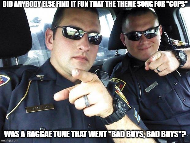 COPS THEME | DID ANYBODY ELSE FIND IT FUN THAT THE THEME SONG FOR "COPS"; WAS A RAGGAE TUNE THAT WENT "BAD BOYS, BAD BOYS"? | image tagged in cops,theme song,raggae | made w/ Imgflip meme maker