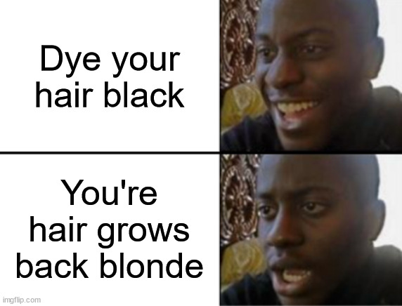 If they had something like "perma-dye" that would be awesome lol | Dye your hair black; You're hair grows back blonde | image tagged in dyeing hair meme | made w/ Imgflip meme maker