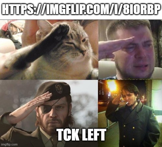 Farewell, old friend... | HTTPS://IMGFLIP.COM/I/8IORBP; TCK LEFT | image tagged in ozon's salute | made w/ Imgflip meme maker