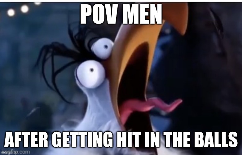POV MEN; AFTER GETTING HIT IN THE BALLS | image tagged in memes,bald eagle,angry birds | made w/ Imgflip meme maker