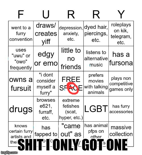 Furry Bingo V2 | SHIT I ONLY GOT ONE | image tagged in furry bingo v2 | made w/ Imgflip meme maker