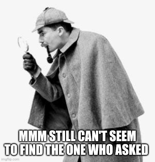 detective | MMM STILL CAN'T SEEM TO FIND THE ONE WHO ASKED | image tagged in detective | made w/ Imgflip meme maker
