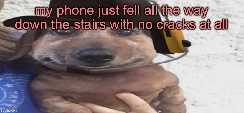chucklenuts | my phone just fell all the way down the stairs with no cracks at all | image tagged in chucklenuts | made w/ Imgflip meme maker