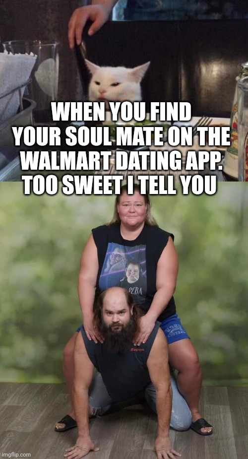WHEN YOU FIND YOUR SOUL MATE ON THE WALMART DATING APP. TOO SWEET I TELL YOU | image tagged in salad cat | made w/ Imgflip meme maker