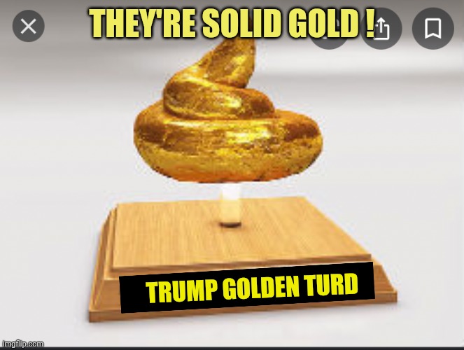 Gold poo | THEY'RE SOLID GOLD ! TRUMP GOLDEN TURD | image tagged in gold poo | made w/ Imgflip meme maker