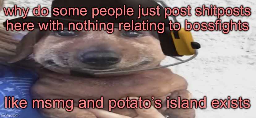 chucklenuts | why do some people just post shitposts here with nothing relating to bossfights; like msmg and potato’s island exists | image tagged in chucklenuts | made w/ Imgflip meme maker