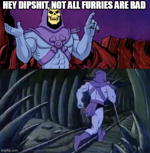 he man skeleton advices | HEY DIPSHIT, NOT ALL FURRIES ARE BAD | image tagged in he man skeleton advices | made w/ Imgflip meme maker