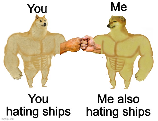 Buff doge vs buff cheems | You You hating ships Me Me also hating ships | image tagged in buff doge vs buff cheems | made w/ Imgflip meme maker