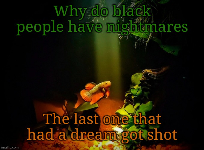 Betta van fleet | Why do black people have nightmares; The last one that had a dream got shot | image tagged in betta van fleet | made w/ Imgflip meme maker