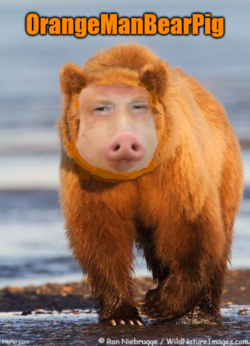 OrangeManBearPig | OrangeManBearPig | image tagged in orangemanbearpig,manbearpig,south par,maga hog,donald trump | made w/ Imgflip meme maker