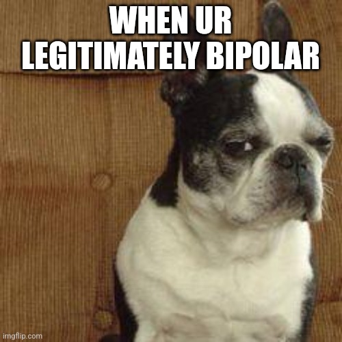 sideeye dog | WHEN UR LEGITIMATELY BIPOLAR | image tagged in sideeye dog | made w/ Imgflip meme maker