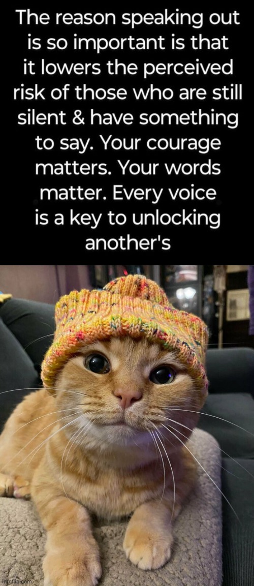 Speak Out Cat | image tagged in cat,speaker | made w/ Imgflip meme maker