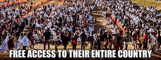 Illegals Blank Meme Template