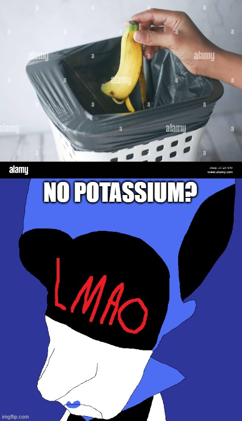 Whoever made this Megamind-style template is a legend! | NO POTASSIUM? | image tagged in queen deltarune,potassium,banana | made w/ Imgflip meme maker