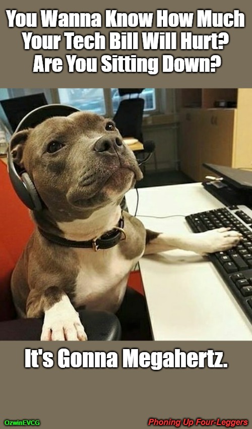 Phoning Up Four-Leggers | You Wanna Know How Much 

Your Tech Bill Will Hurt? 

Are You Sitting Down? It's Gonna Megahertz. Phoning Up Four-Leggers; OzwinEVCG | image tagged in pit bull tech support,dogs,eyerolls,unqualified professionals,tech support,expensive | made w/ Imgflip meme maker
