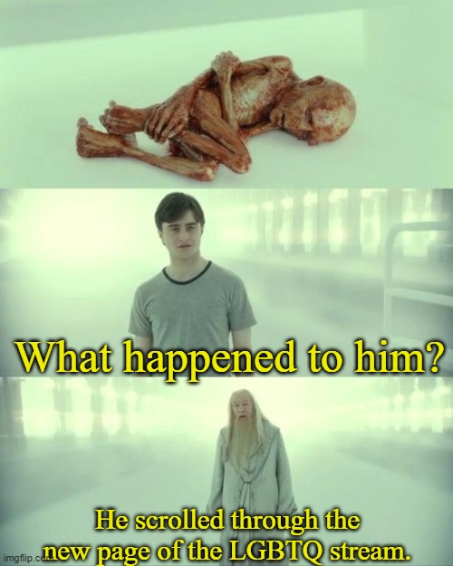 Dead Baby Voldemort / What Happened To Him | What happened to him? He scrolled through the new page of the LGBTQ stream. | image tagged in dead baby voldemort / what happened to him | made w/ Imgflip meme maker