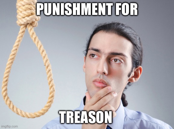 noose | PUNISHMENT FOR TREASON | image tagged in noose | made w/ Imgflip meme maker