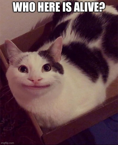 Polite Loaf | WHO HERE IS ALIVE? | image tagged in polite loaf | made w/ Imgflip meme maker
