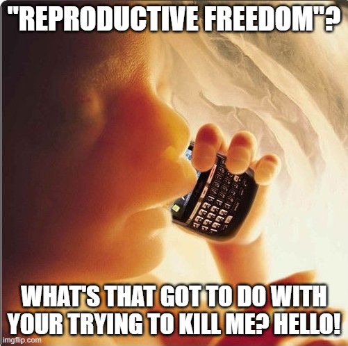 Baby in womb on cell phone - fetus blackberry | "REPRODUCTIVE FREEDOM"? WHAT'S THAT GOT TO DO WITH YOUR TRYING TO KILL ME? HELLO! | image tagged in baby in womb on cell phone - fetus blackberry | made w/ Imgflip meme maker