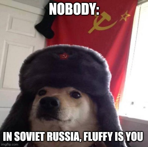 Fluffy is you | NOBODY:; IN SOVIET RUSSIA, FLUFFY IS YOU | image tagged in russian doge,communism,jpfan102504,wholesome | made w/ Imgflip meme maker