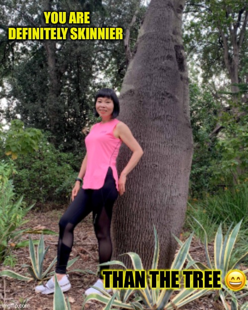 Pose tree | YOU ARE DEFINITELY SKINNIER; THAN THE TREE 😄 | image tagged in funny memes | made w/ Imgflip meme maker