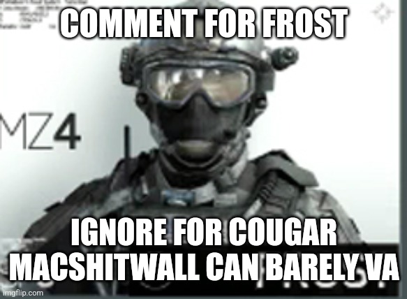 (For those who don't know: Frost is one of the protagonists of MW3 2011) | COMMENT FOR FROST; IGNORE FOR COUGAR MACSHITWALL CAN BARELY VA | image tagged in metal zero 4 | made w/ Imgflip meme maker