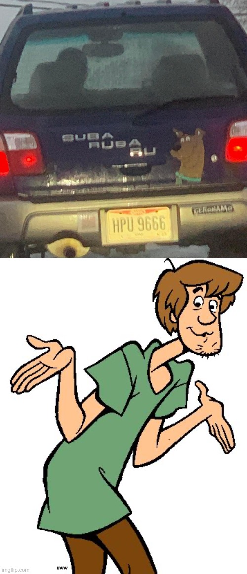 image tagged in shaggy from scooby doo,subaru,scooby doo | made w/ Imgflip meme maker