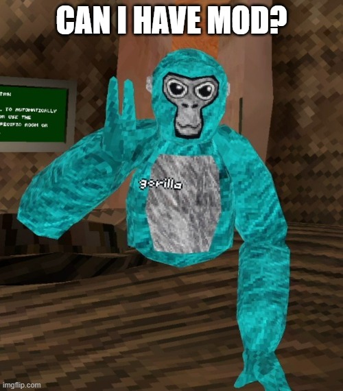 Monkey | CAN I HAVE MOD? | image tagged in monkey | made w/ Imgflip meme maker