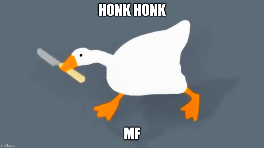 Goose with knife | HONK HONK MF | image tagged in goose with knife | made w/ Imgflip meme maker
