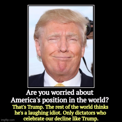 Are you worried about America's position in the world? | That's Trump. The rest of the world thinks 
he's a laughing idiot. Only dictators w | image tagged in funny,demotivationals,america,losers,trump,idiot | made w/ Imgflip demotivational maker