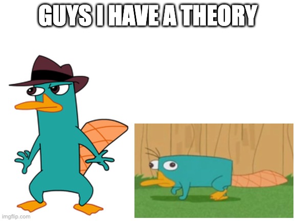 film theory | GUYS I HAVE A THEORY | image tagged in blank white template,phineas and ferb,perry the platypus,disney | made w/ Imgflip meme maker