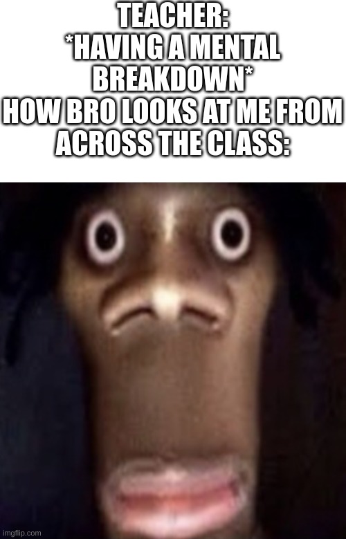 TEACHER: *HAVING A MENTAL BREAKDOWN*
HOW BRO LOOKS AT ME FROM ACROSS THE CLASS: | image tagged in blank white template,quandale dingle,school,teachers | made w/ Imgflip meme maker