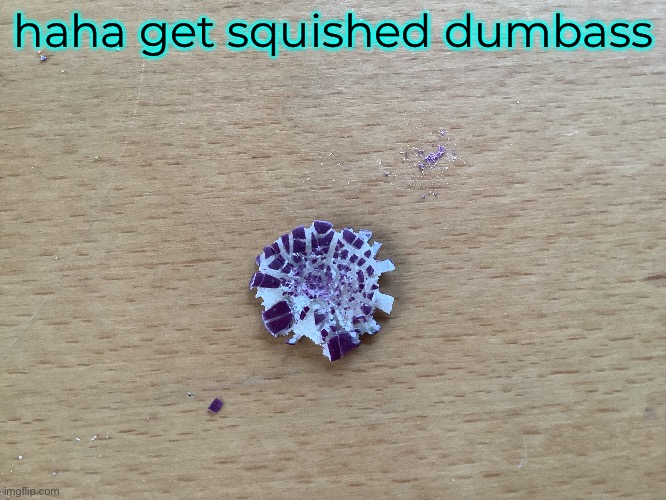 haha get squished dumbass | made w/ Imgflip meme maker