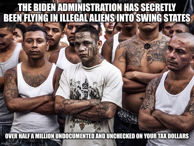 Mont | THE BIDEN ADMINISTRATION HAS SECRETLY BEEN FLYING IN ILLEGAL ALIENS INTO SWING STATES; OVER HALF A MILLION UNDOCUMENTED AND UNCHECKED ON YOUR TAX DOLLARS | image tagged in ms13 votes democrat | made w/ Imgflip meme maker