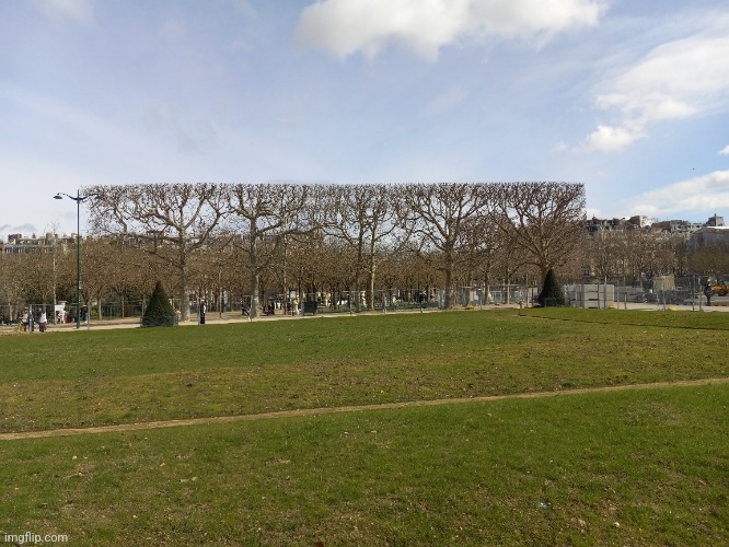 Minecraft looking ahh trees I found next to the eiffel tower | image tagged in minecraft tree,paris,eiffel tower | made w/ Imgflip meme maker
