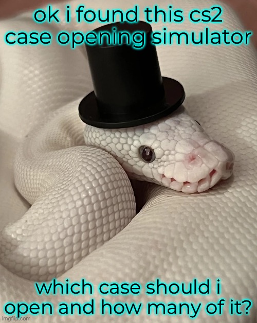 ok i found this cs2 case opening simulator; which case should i open and how many of it? | made w/ Imgflip meme maker