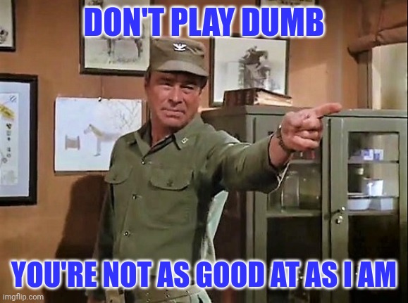 Don't Play Dumb | DON'T PLAY DUMB; YOU'RE NOT AS GOOD AT AS I AM | image tagged in funny memes | made w/ Imgflip meme maker