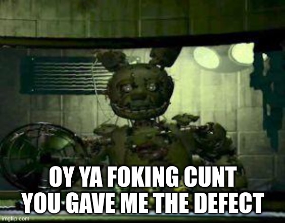FNAF Springtrap in window | OY YA FOKING CUNT YOU GAVE ME THE DEFECT | image tagged in fnaf springtrap in window | made w/ Imgflip meme maker