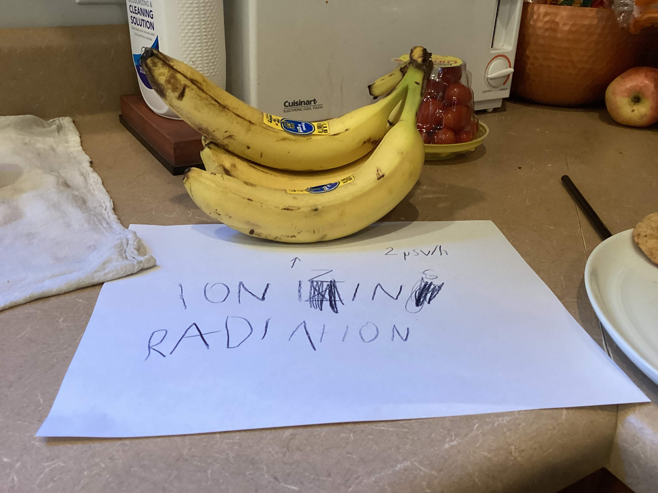 Wait, bananas are radioactive?! Blank Meme Template