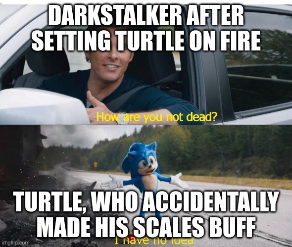sonic how are you not dead | DARKSTALKER AFTER SETTING TURTLE ON FIRE TURTLE, WHO ACCIDENTALLY MADE HIS SCALES BUFF | image tagged in sonic how are you not dead | made w/ Imgflip meme maker