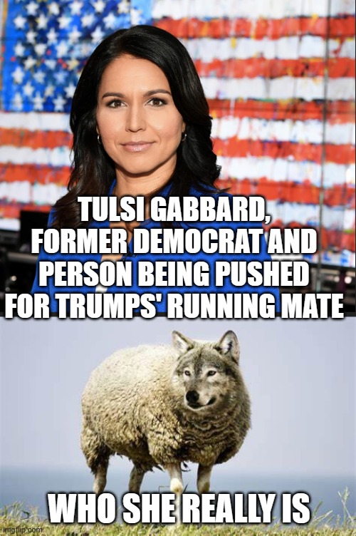 TULSI GABBARD, FORMER DEMOCRAT AND PERSON BEING PUSHED FOR TRUMPS' RUNNING MATE; WHO SHE REALLY IS | image tagged in tulsi gabbard,wolf in sheep's clothing | made w/ Imgflip meme maker