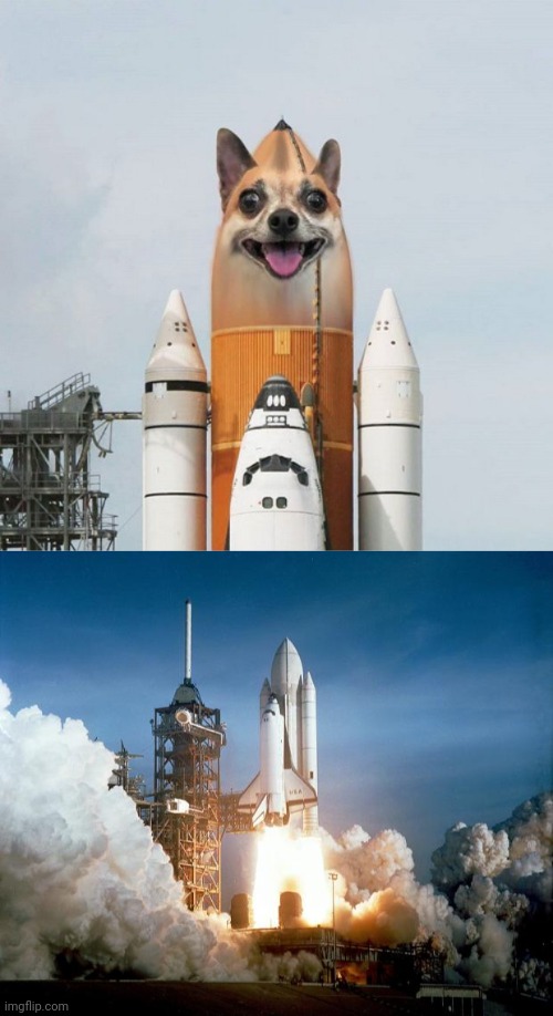 Doggo Rocket BLAST photoshop | image tagged in rocket launch,rocket,dogs,dog,memes,photoshop | made w/ Imgflip meme maker