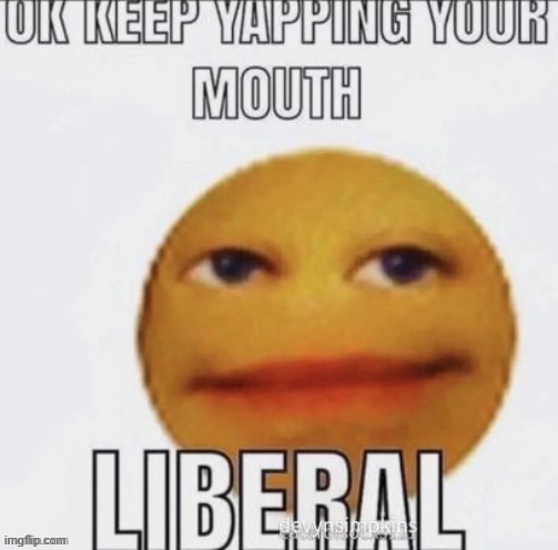 ok keep yapping your mouth LIBERAL | image tagged in ok keep yapping your mouth liberal | made w/ Imgflip meme maker