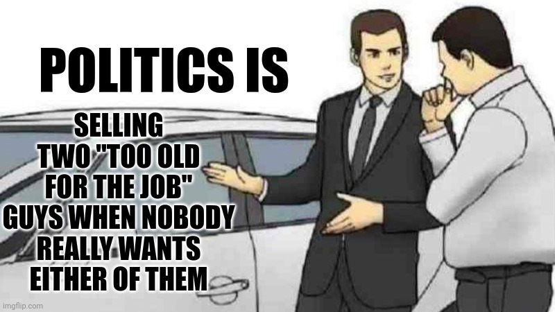 Blood Sucking Insects | SELLING TWO "TOO OLD FOR THE JOB" GUYS WHEN NOBODY REALLY WANTS EITHER OF THEM; POLITICS IS | image tagged in memes,car salesman slaps roof of car,politics,politicians suck,political | made w/ Imgflip meme maker
