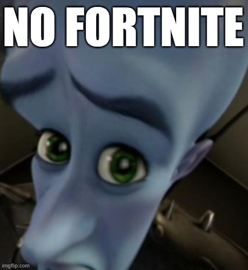 Megamind no bitches | NO FORTNITE | image tagged in megamind no bitches | made w/ Imgflip meme maker