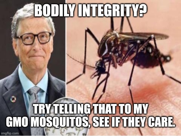 BODILY INTEGRITY? TRY TELLING THAT TO MY GMO MOSQUITOS, SEE IF THEY CARE. | made w/ Imgflip meme maker