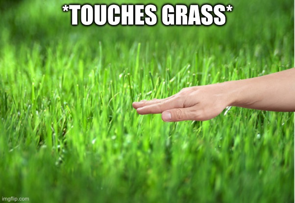 grass is greener | *TOUCHES GRASS* | image tagged in grass is greener | made w/ Imgflip meme maker